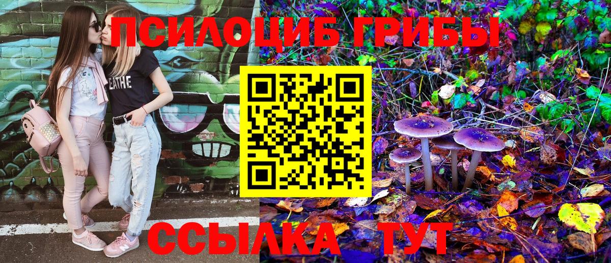 Псилоцибиновые грибы ЛСД Клинцы